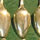 Wallace Astoria Silver-Plate Orange Spoon Set of 10 Ca. 1898 Monogram S
