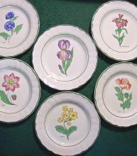 Grindley Fleur des Champs/ Studio 12 Salad Plate Set of 6 Early '80's