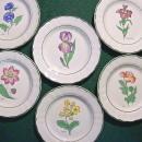Grindley Fleur des Champs/ Studio 12 Salad Plate Set of 6 Early '80's