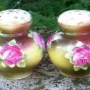 Bavarian Porcelain Salt & Pepper Shakers Hand-Painted Roses Ca. 1900 2.75