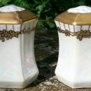 C. S. Prussia Porcelain Salt & Pepper Shakers Luster & Gold Ca. 1910