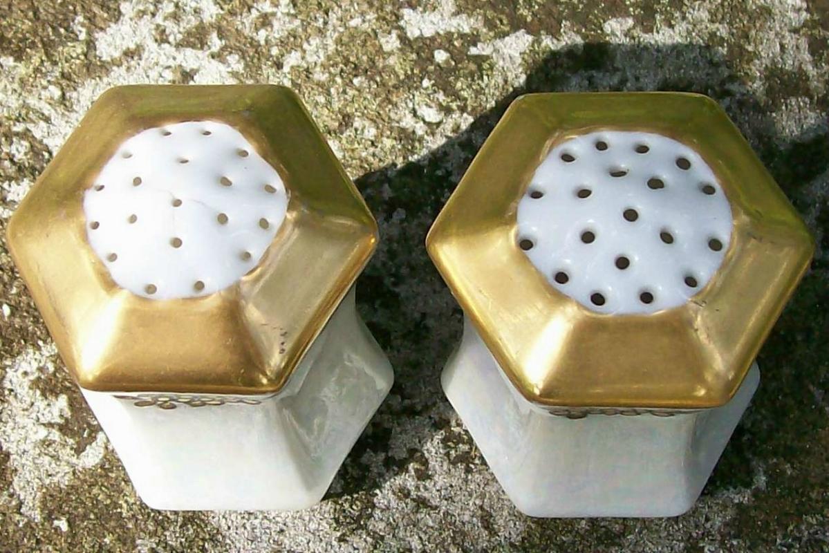 C. S. Prussia Porcelain Salt & Pepper Shakers Luster & Gold Ca. 1910