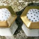 C. S. Prussia Porcelain Salt & Pepper Shakers Luster & Gold Ca. 1910