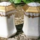 C. S. Prussia Porcelain Salt & Pepper Shakers Luster & Gold Ca. 1910