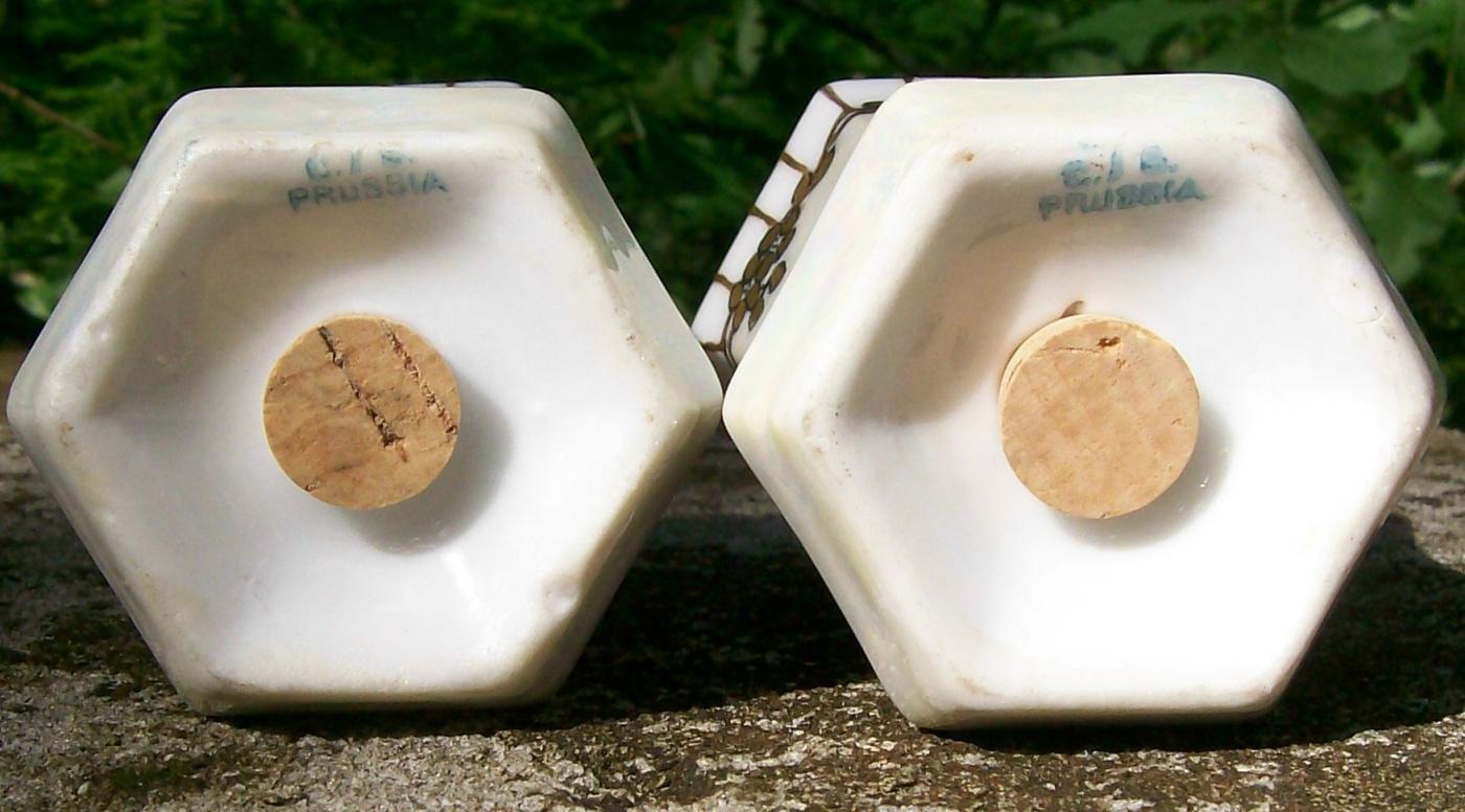 C. S. Prussia Porcelain Salt & Pepper Shakers Luster & Gold Ca. 1910