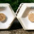 C. S. Prussia Porcelain Salt & Pepper Shakers Luster & Gold Ca. 1910