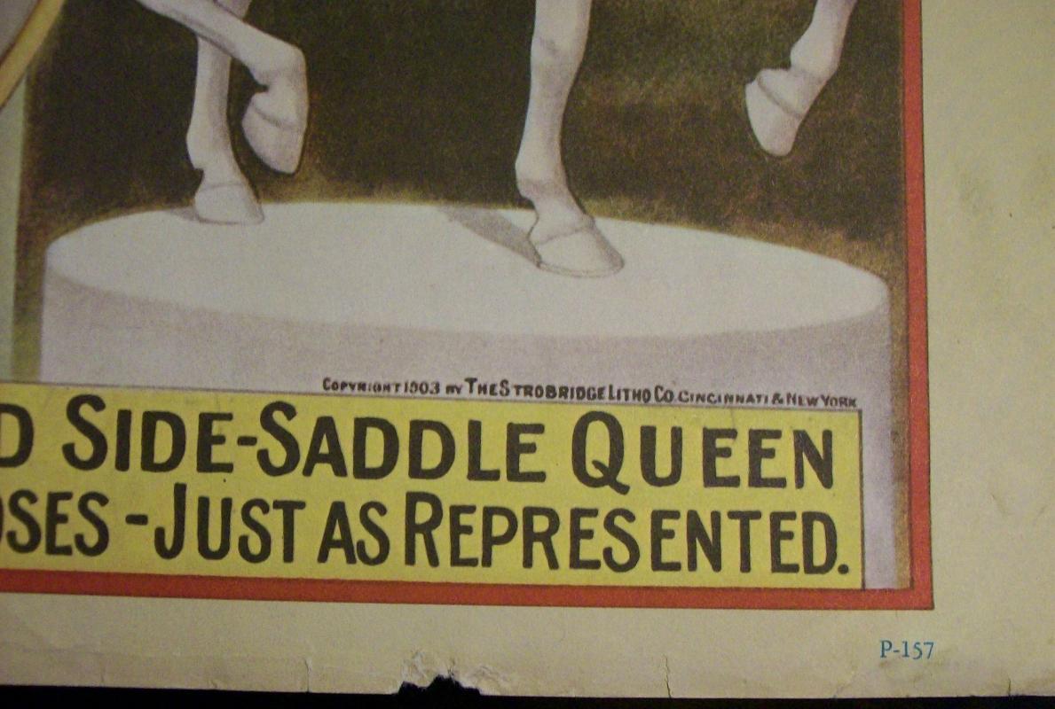 Vintage 1960's Circus Poster Reprints Barnum & Bailey Side Saddle Equestrian P157