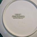 Colorado Souvenir Ceramic Plate Ca. 1900 Wheelock Weimar Germany