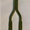 Seager Dairies/Cleveland Advertising Metal Mixing Spoon/Bottle Opener