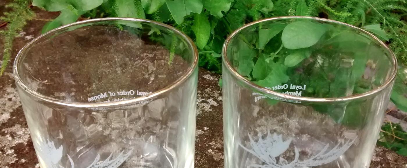 Loyal Order of Moose Membership Award Glass Tumbler Pair