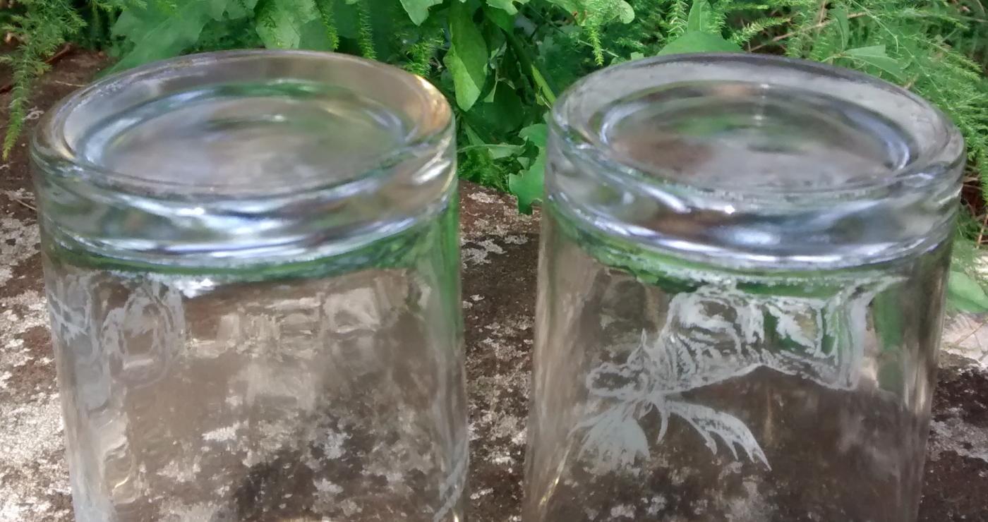 Loyal Order of Moose Membership Award Glass Tumbler Pair