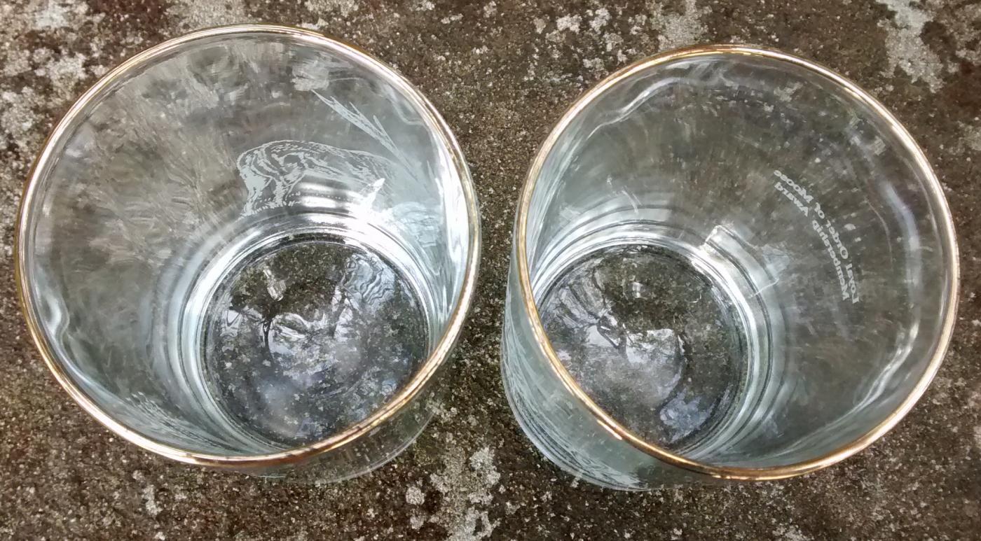 Loyal Order of Moose Membership Award Glass Tumbler Pair