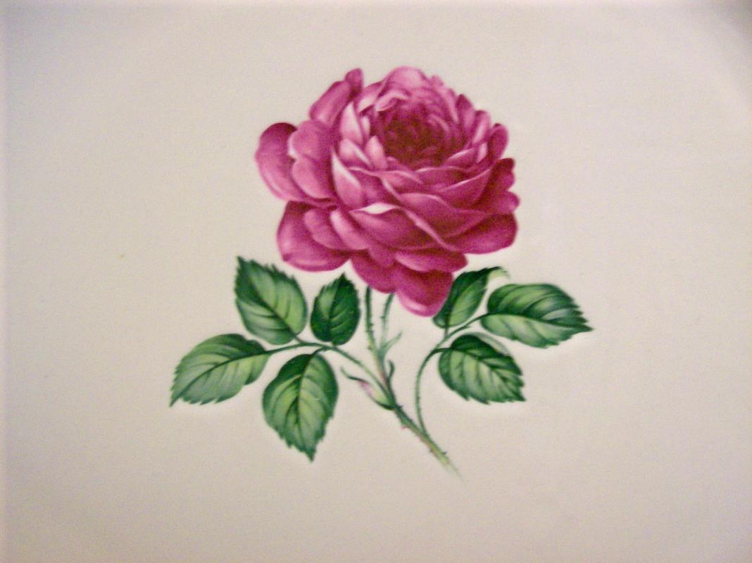 Red Rose Center Ceramic Platter USA 13