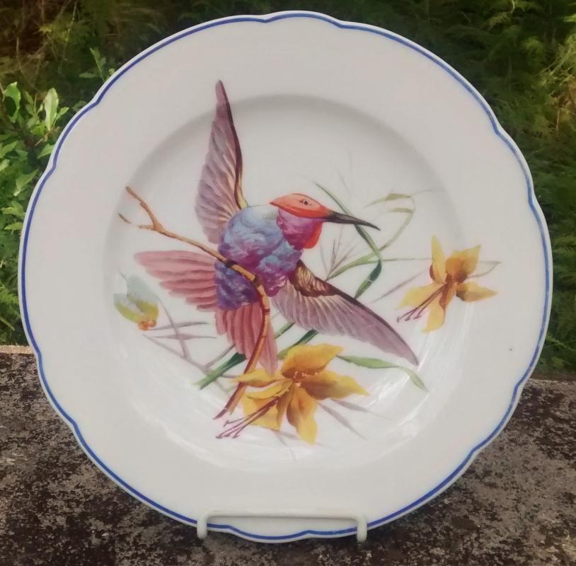Limoges Hummingbird Plate Ca. 1900 9.5