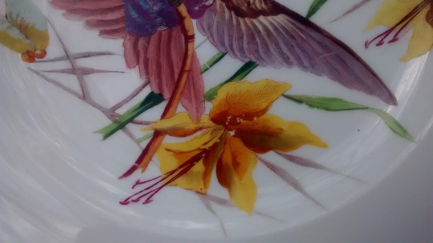 Limoges Hummingbird Plate Ca. 1900 9.5