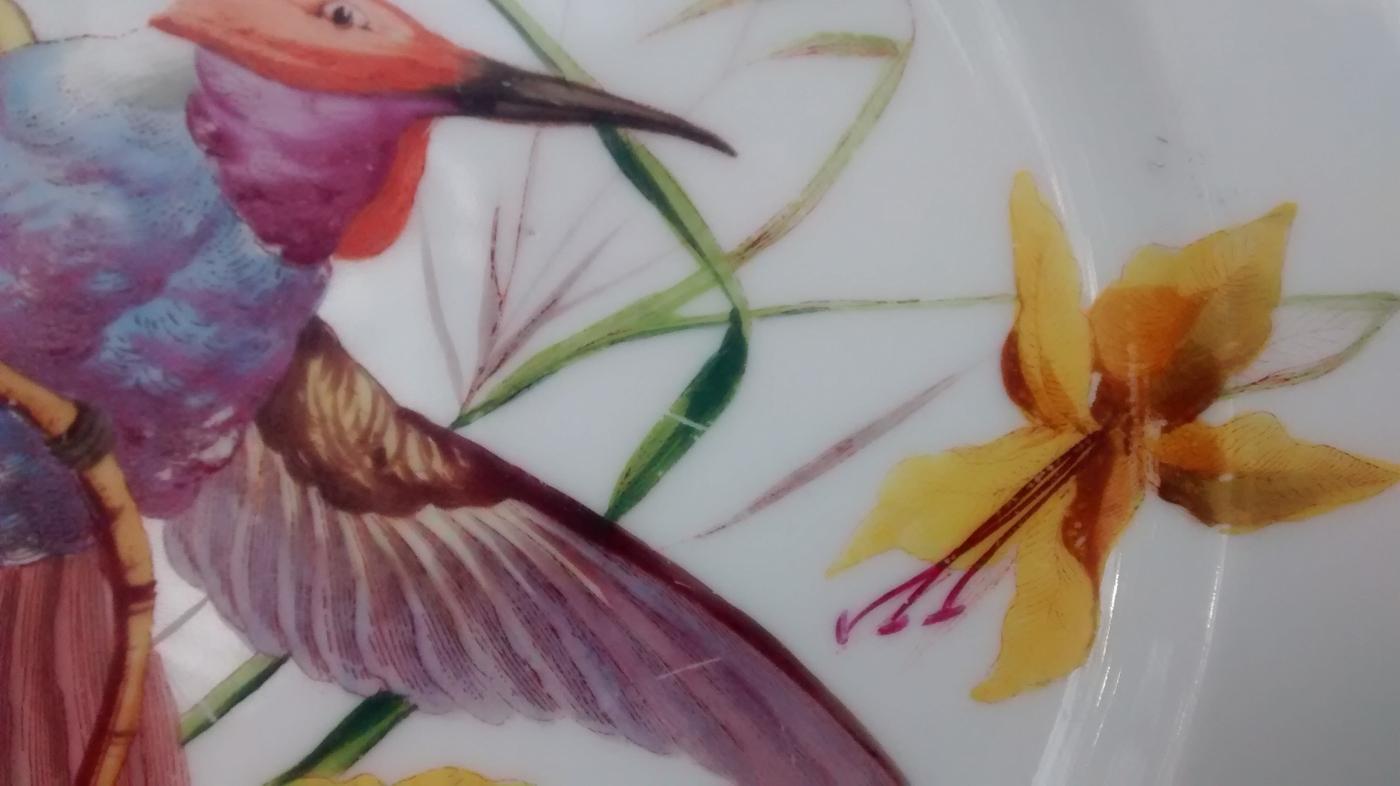 Limoges Hummingbird Plate Ca. 1900 9.5
