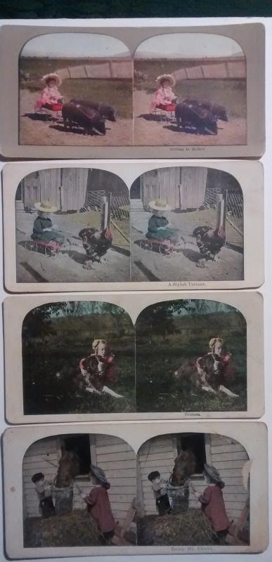 Stereoview Card Set/4 Children/Farm Animals 1890s Color