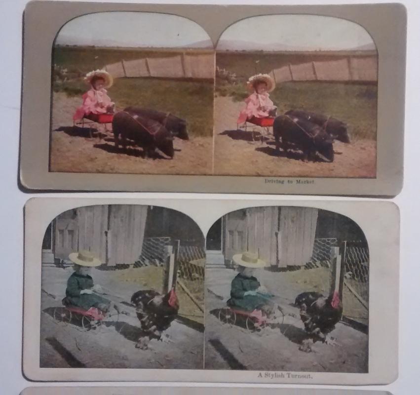 Stereoview Card Set/4 Children/Farm Animals 1890s Color