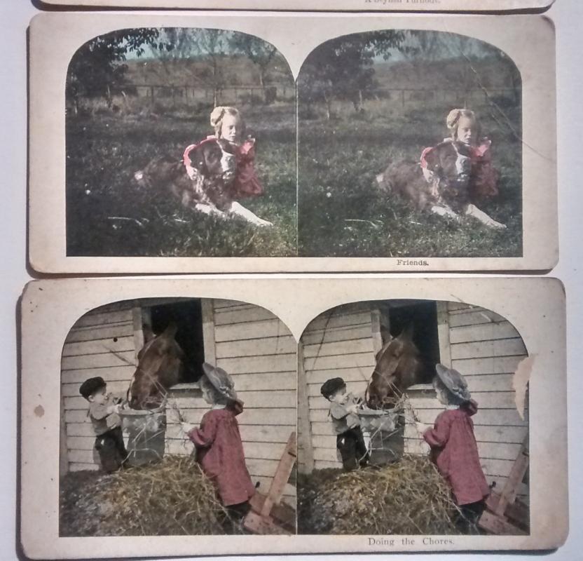 Stereoview Card Set/4 Children/Farm Animals 1890s Color