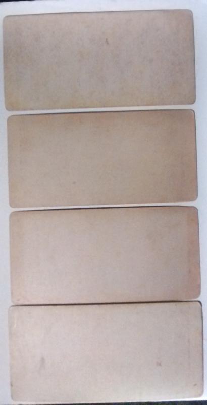 Stereoview Card Set/4 Children/Farm Animals 1890s Color