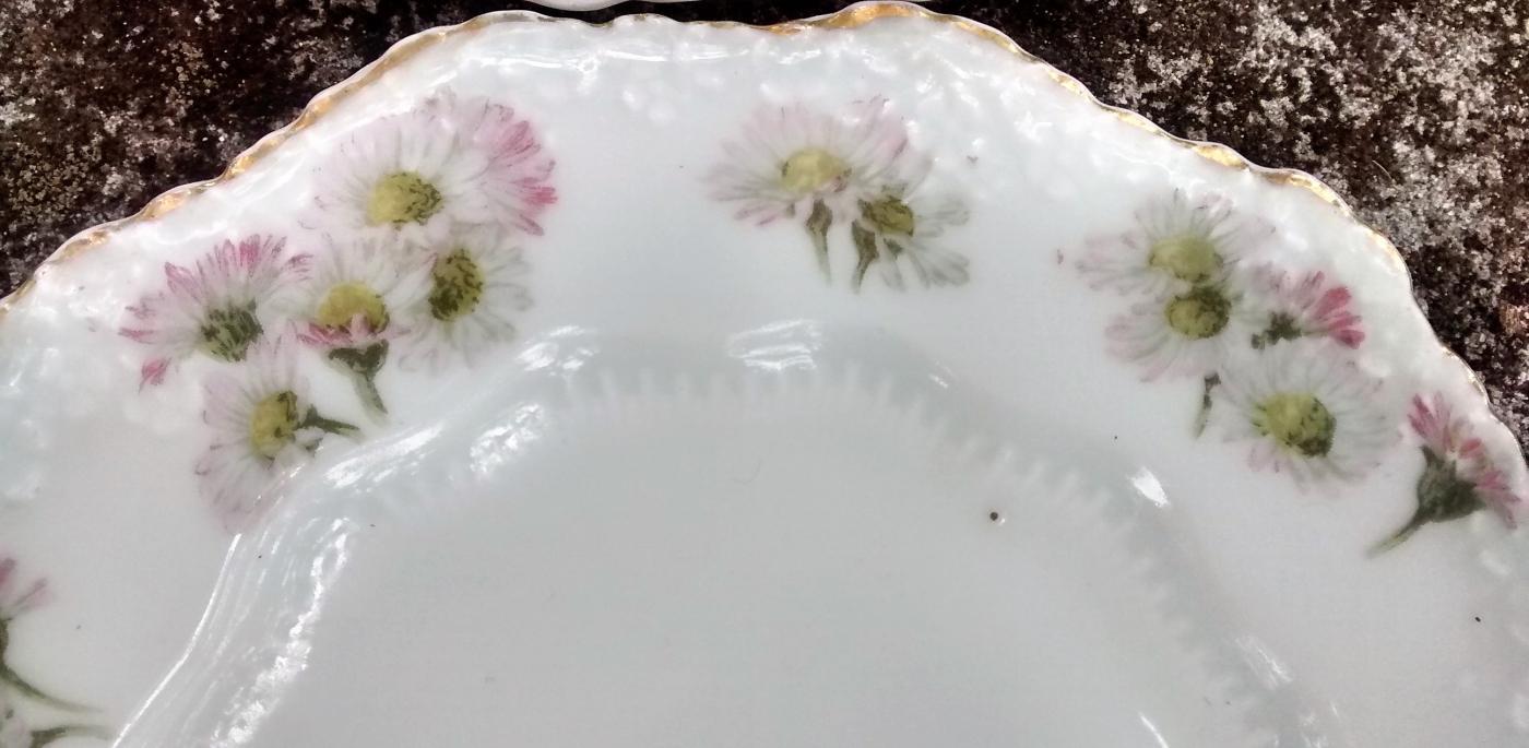 Hermann Ohme Silesia Plate Set/6 Pink/Lavender Daisies 1882+ 6.5