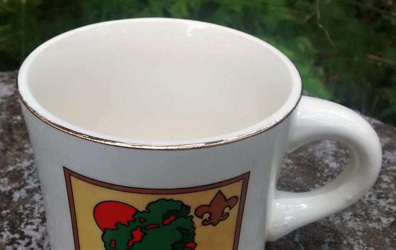 Boy Scout Mug 1973 National Jamboree USA