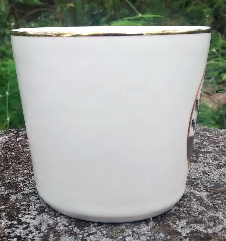 Boy Scout Mug 1969 National Jamboree Idaho McCoy