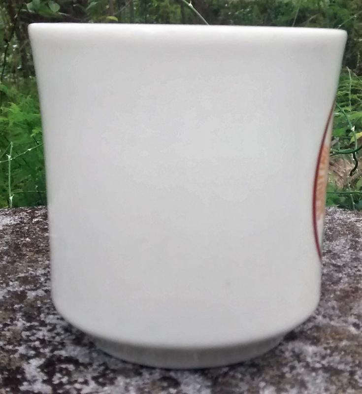 Boy Scout Mug 1984 Buccaneer