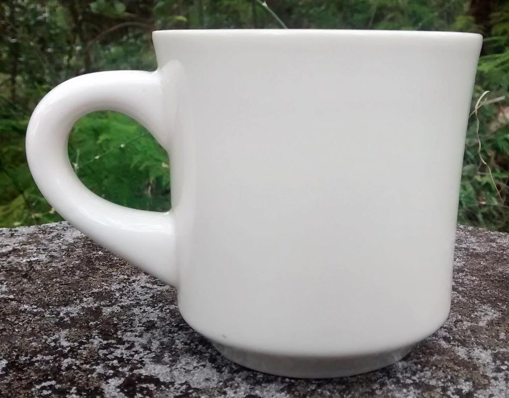 Boy Scout Mug 1984 Buccaneer
