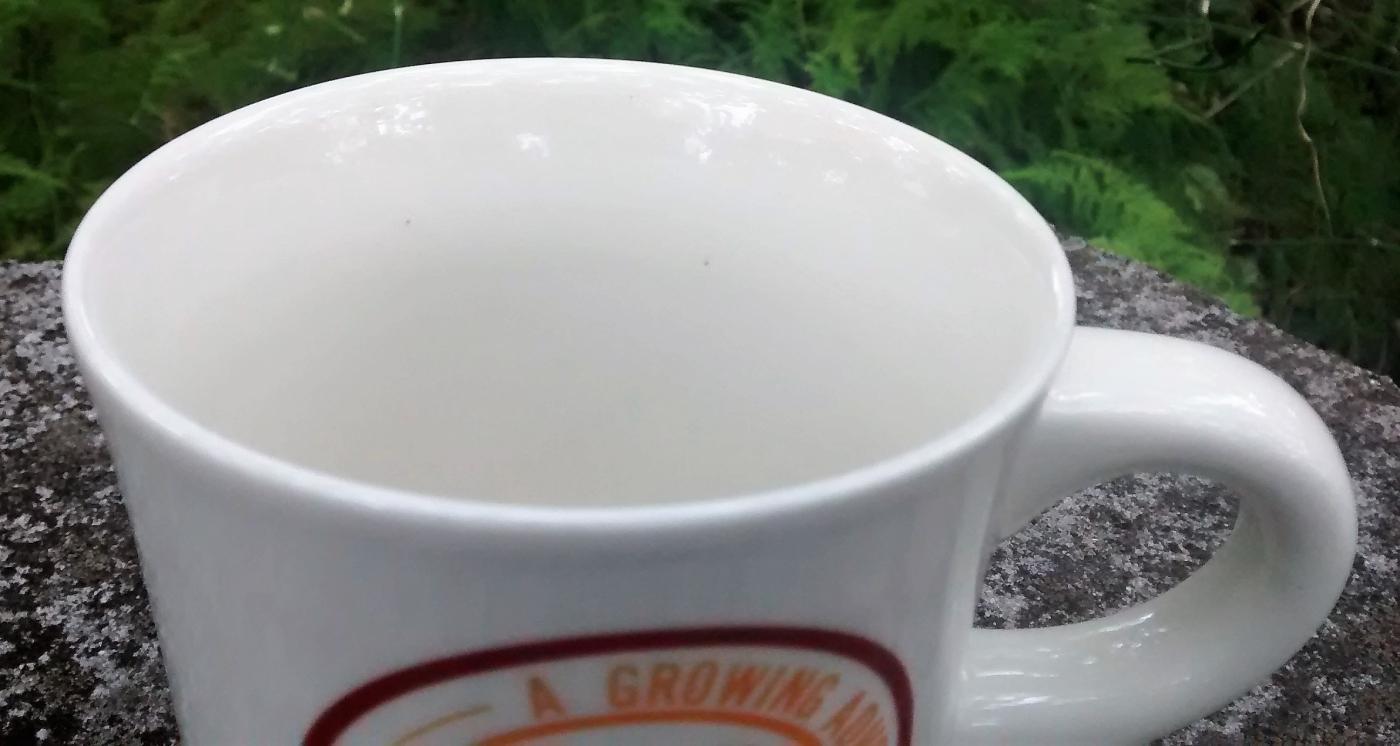 Boy Scout Mug 1984 Buccaneer