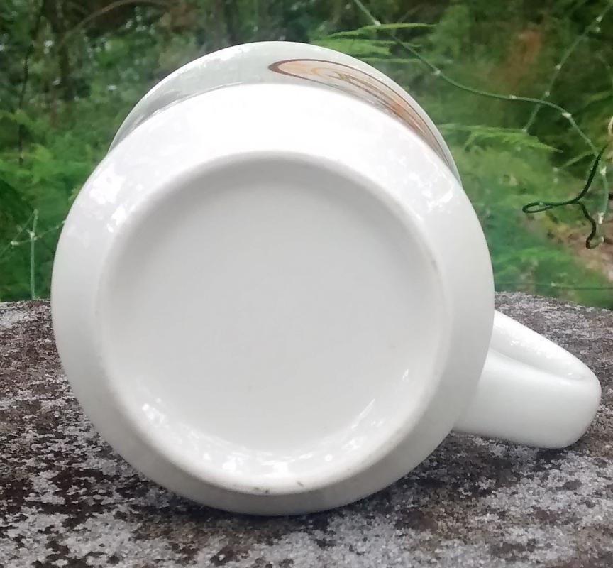Boy Scout Mug 1984 Buccaneer