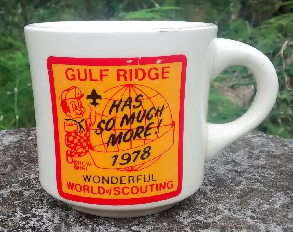Boy Scout Mug 1978 Gulf Ridge Big Boy Wonderful World of Scouting