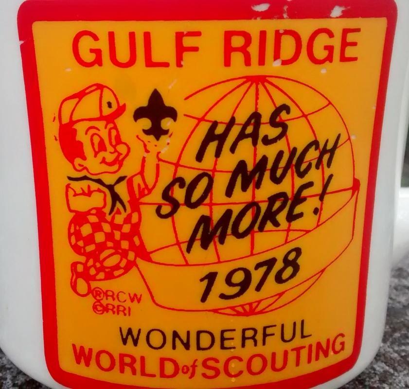 Boy Scout Mug 1978 Gulf Ridge Big Boy Wonderful World of Scouting