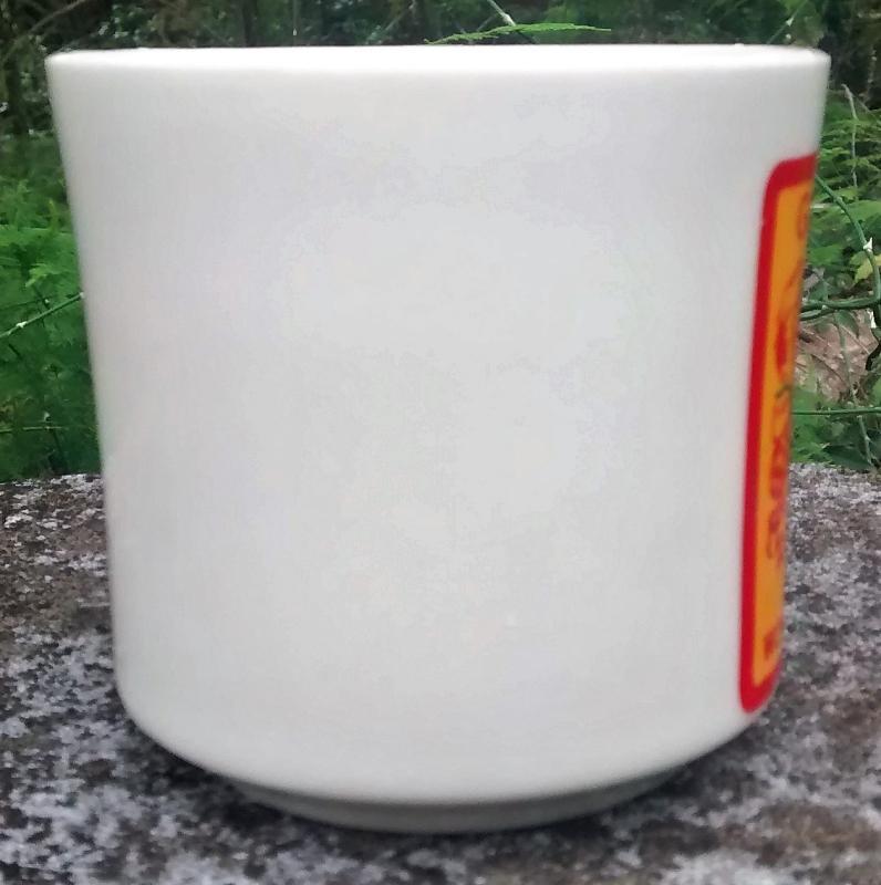 Boy Scout Mug 1978 Gulf Ridge Big Boy Wonderful World of Scouting