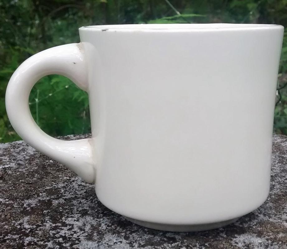 Boy Scout Mug 1978 Gulf Ridge Big Boy Wonderful World of Scouting
