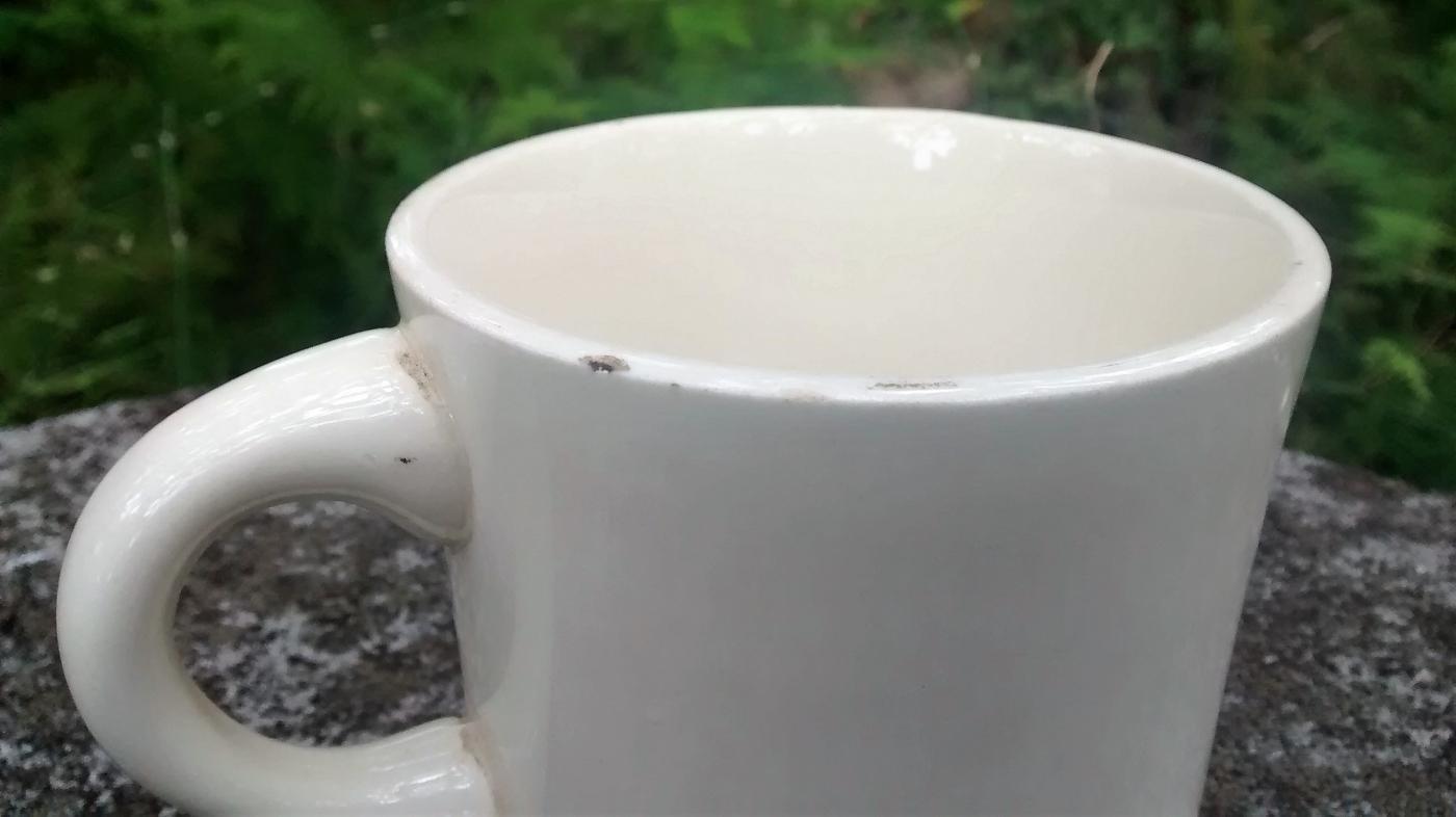 Boy Scout Mug 1978 Gulf Ridge Big Boy Wonderful World of Scouting