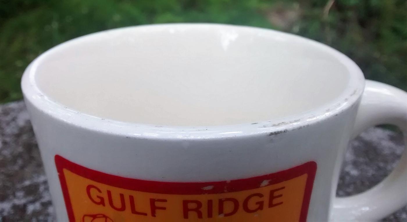 Boy Scout Mug 1978 Gulf Ridge Big Boy Wonderful World of Scouting
