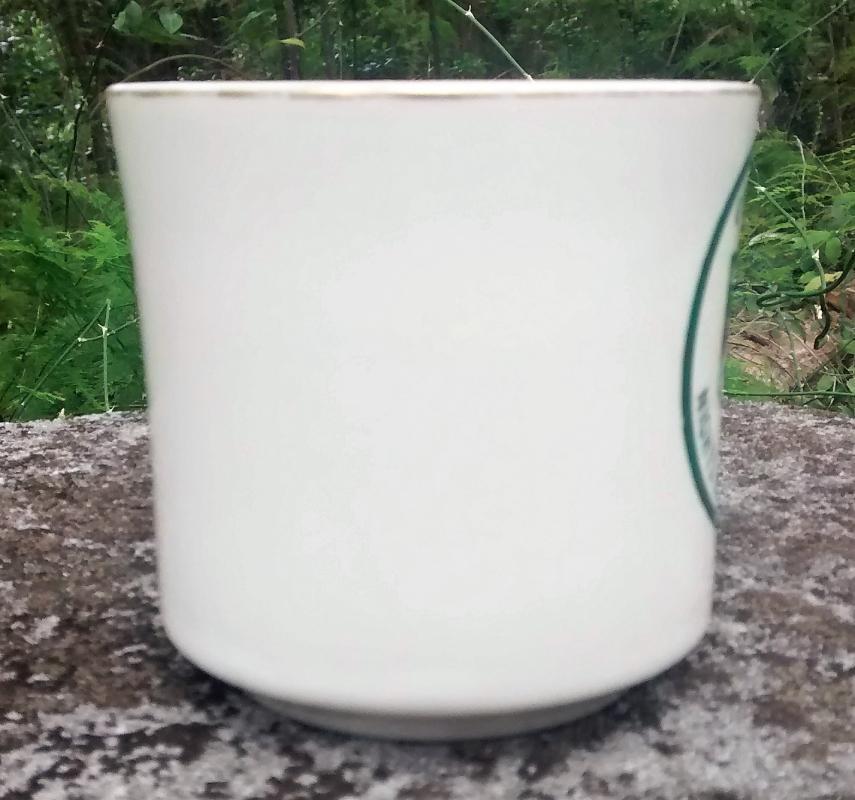 Boy Scout Mug 1970s Gulf Ridge Nights of the Roundtable