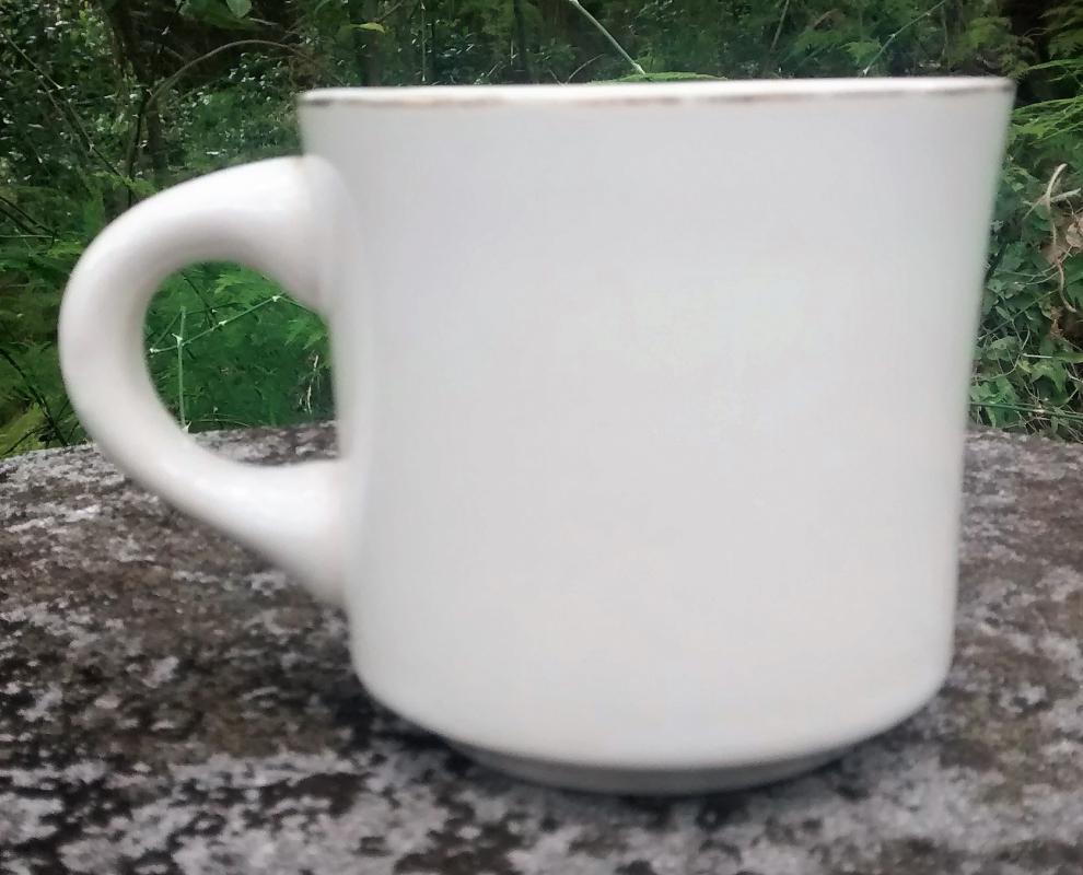 Boy Scout Mug 1970s Gulf Ridge Nights of the Roundtable