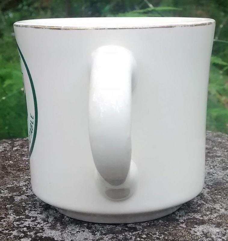 Boy Scout Mug 1970s Gulf Ridge Nights of the Roundtable