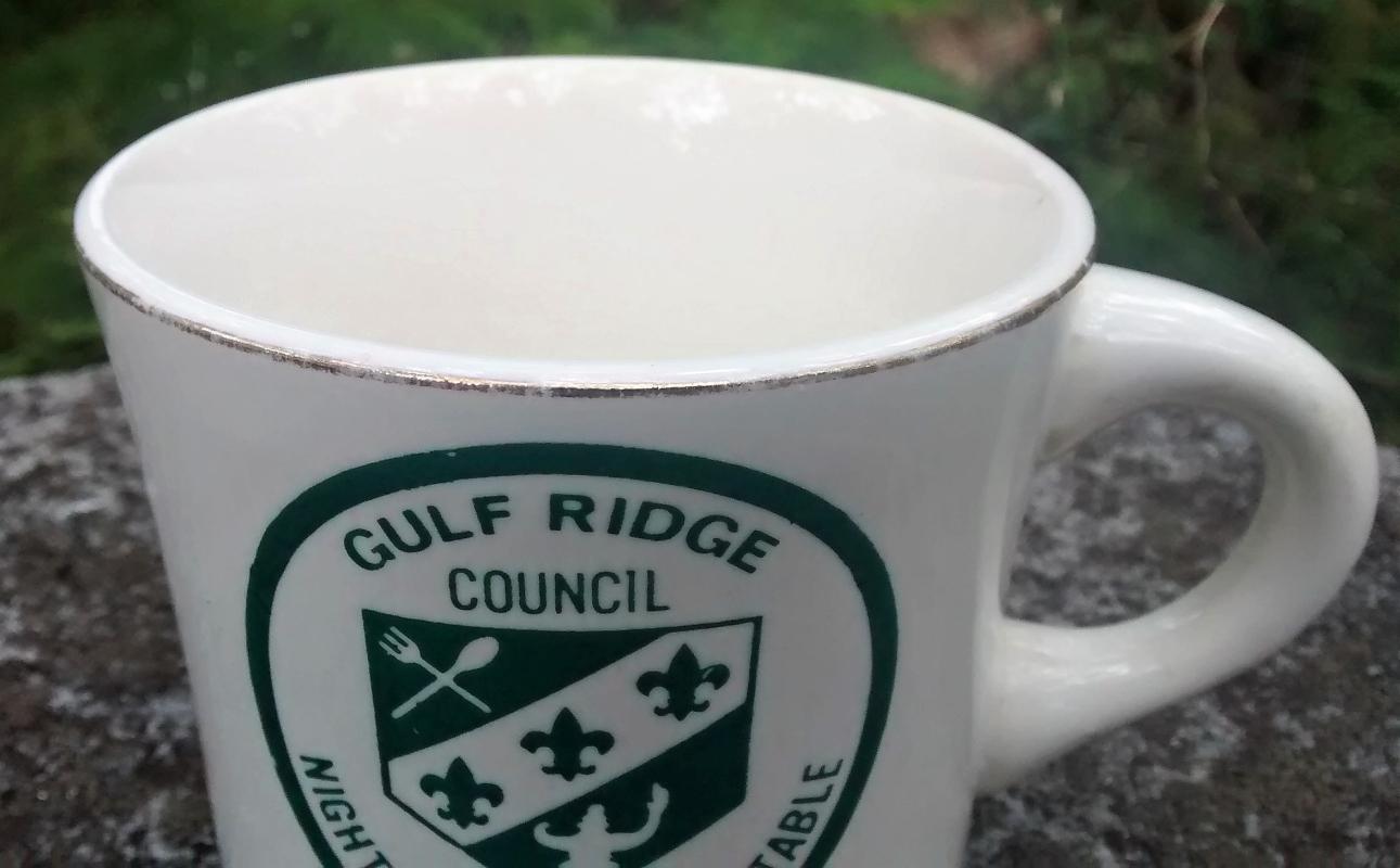Boy Scout Mug 1970s Gulf Ridge Nights of the Roundtable