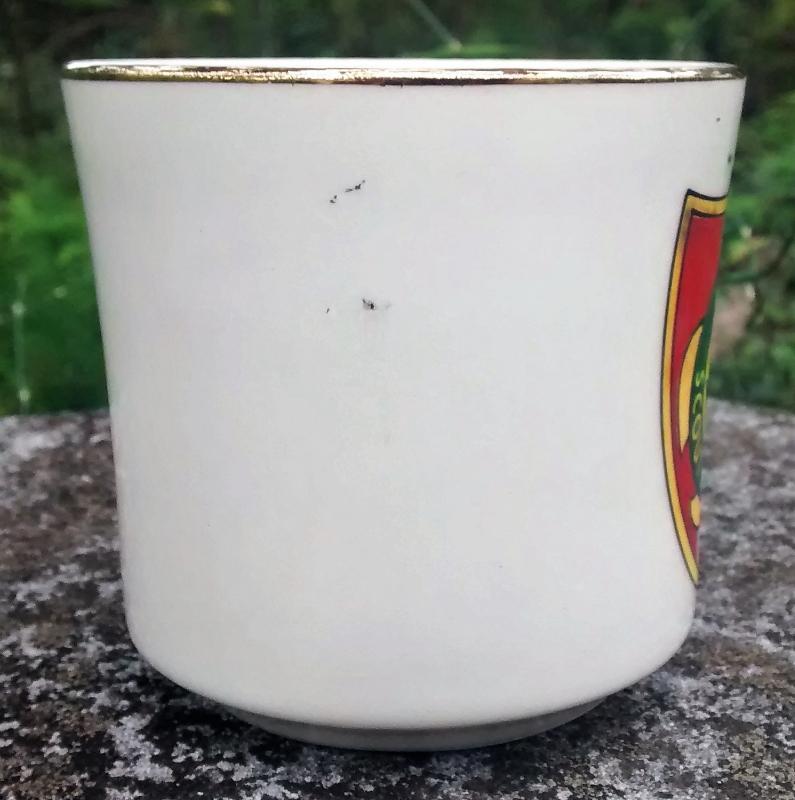 Boy Scout Mug 1970s Schiff Scout Reservation