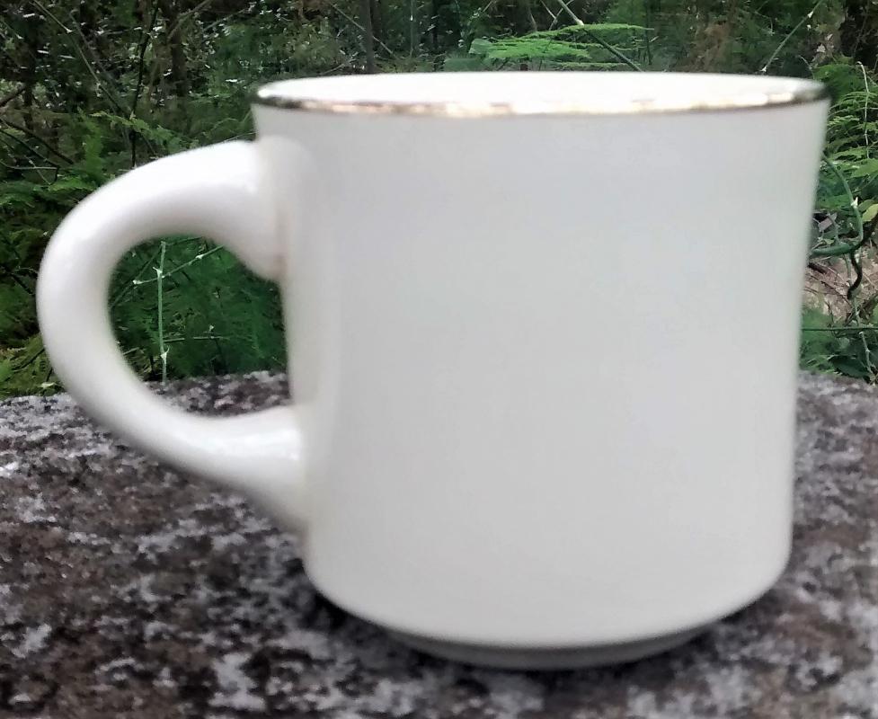 Boy Scout Mug 1970s Schiff Scout Reservation