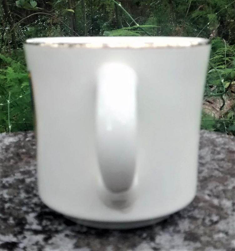 Boy Scout Mug 1970s Schiff Scout Reservation