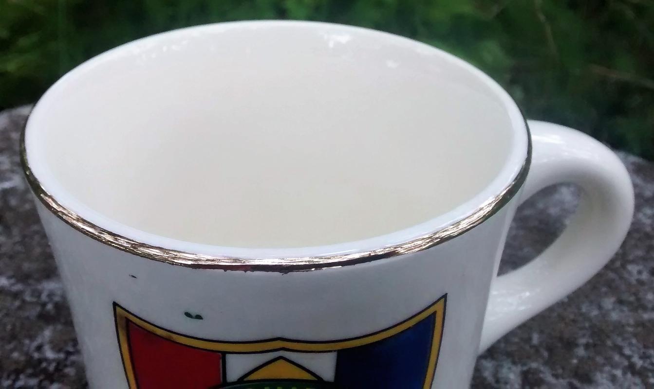 Boy Scout Mug 1970s Schiff Scout Reservation