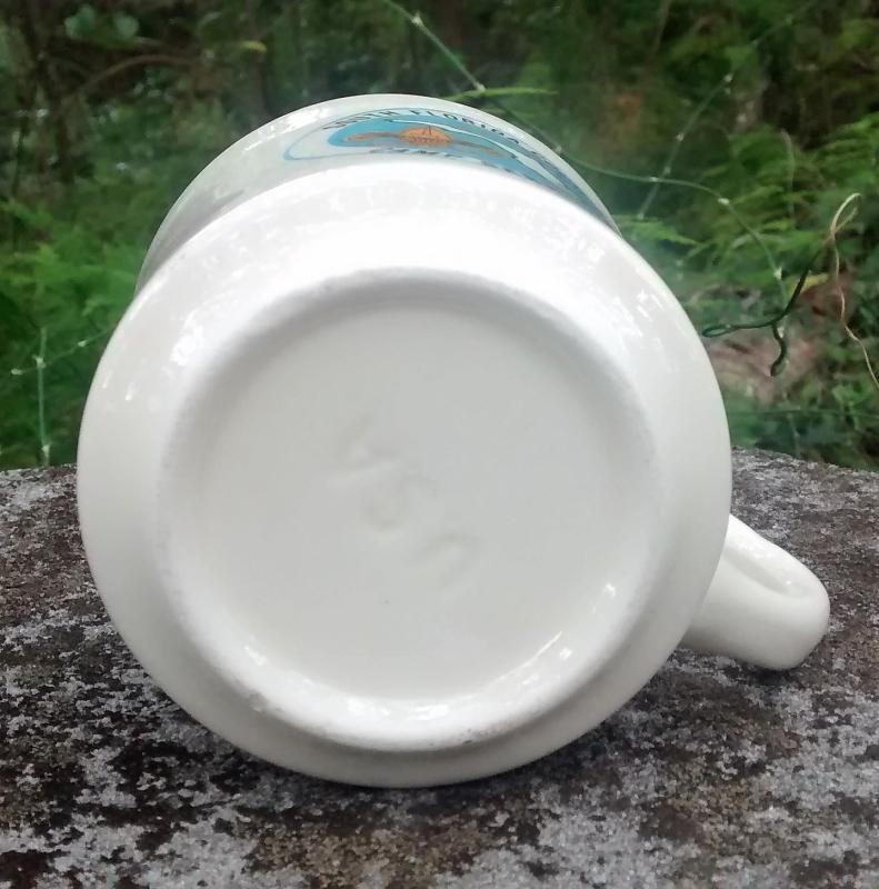 Boy Scout Mug 1970s Camp Sebring South Florida Council