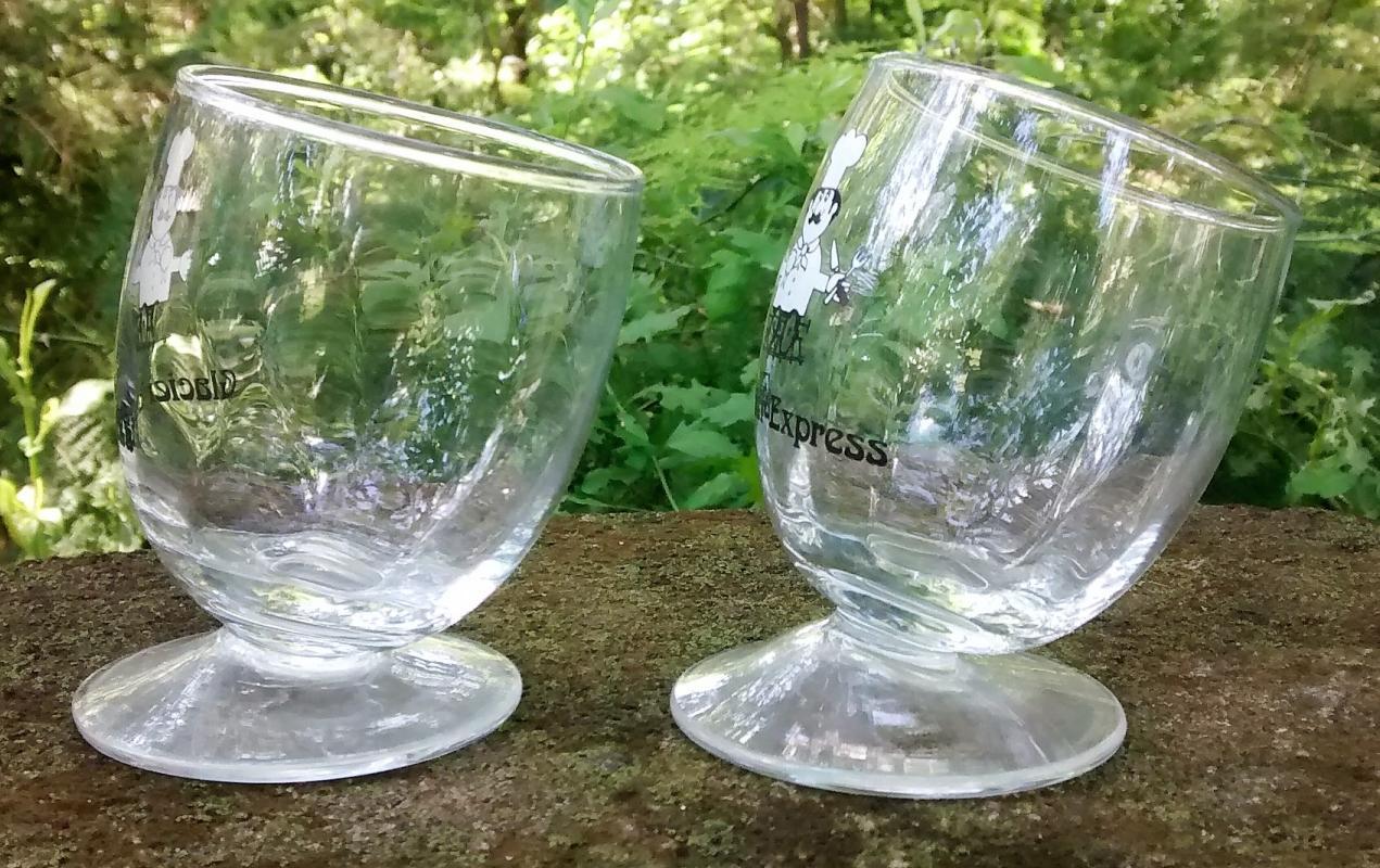 Glacier Express Railway Slanted Wine Glass Pair Swiss Alps