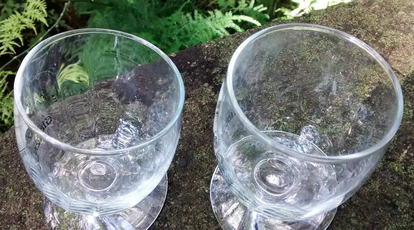 Glacier Express Railway Slanted Wine Glass Pair Swiss Alps