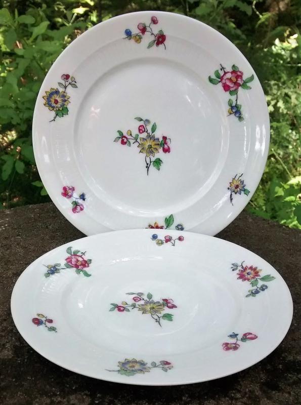 C.F. Haviland CHF1572/1616 Limoges Porcelain Plate Pair 6.5