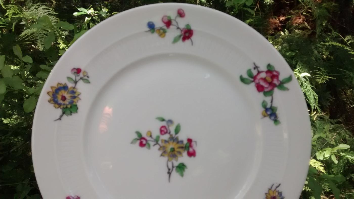 C.F. Haviland CHF1572/1616 Limoges Porcelain Plate Pair 6.5